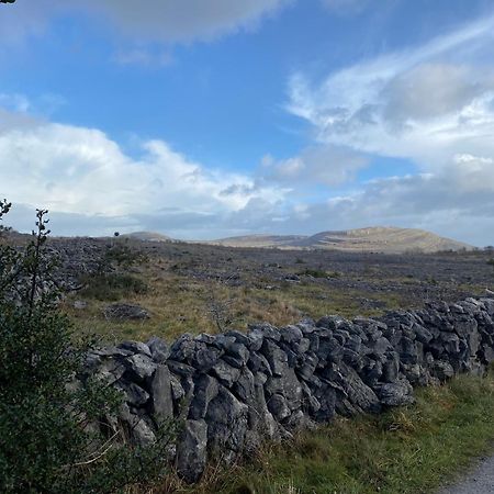 Boston Burren Garden Glamping Hut 빌라 외부 사진